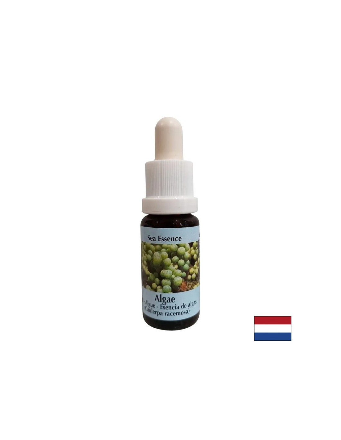 Stimulira samozdravljenje - alge Essence št. 1, pade 15 ml
