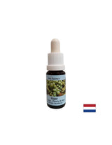 Stimulira samozdravljenje - alge Essence št. 1, pade 15 ml