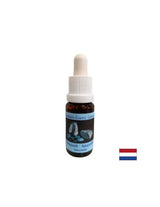 Čustveno ravnovesje - Amasonitna Essence št. 1, pade 15 ml