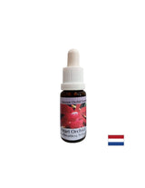 Preoblikovanje sebičnosti v ljubezen - Essence Orchid Heart št. 12, pade 15 ml