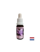 Daje zaupanje - Gentian Essence št. 12, pade 15 ml