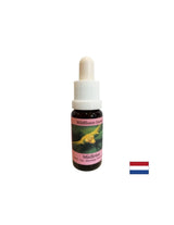 Stimulira zavestne spremembe - Essence White Mistletoe št. 12, pade 15 ml