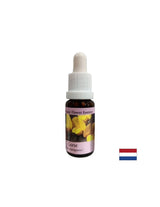 Za nov začetek - Essence Preshtip št. 13, pade 15 ml