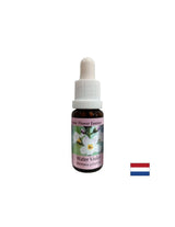 Spodbuja komunikacijo - Essence Swamp Iris, pade 15 ml