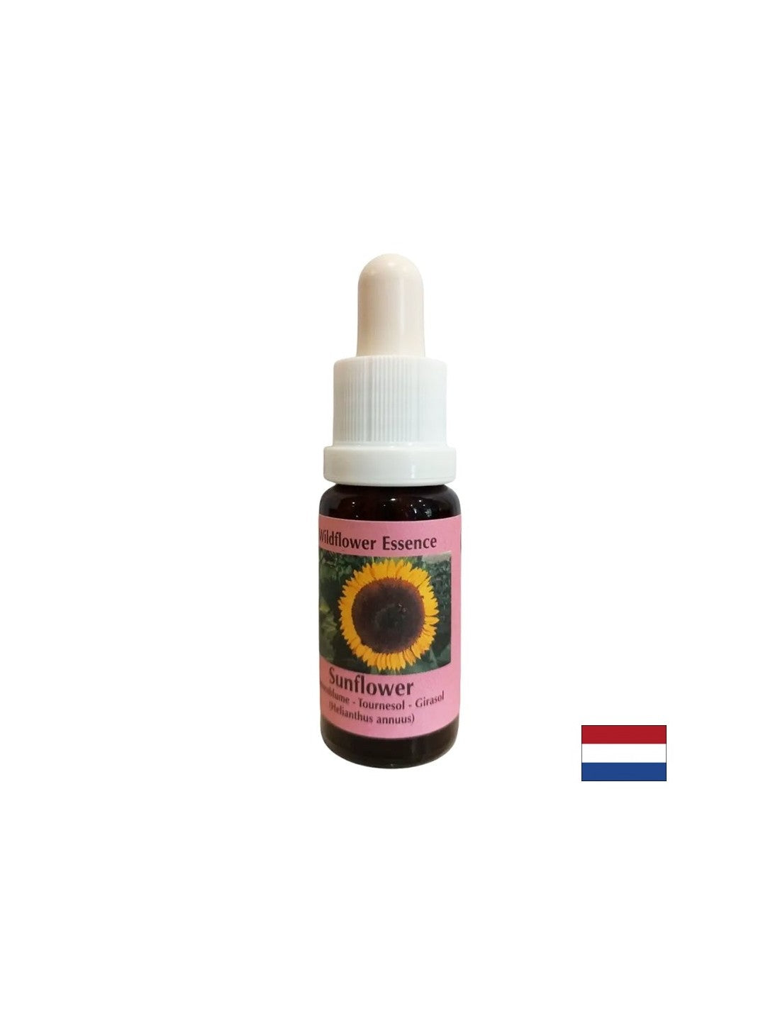 Premagovanje konfliktov s starši, krepi samozavedanje in odgovornost - Sončnica Essence št. 16, pade 15 ml