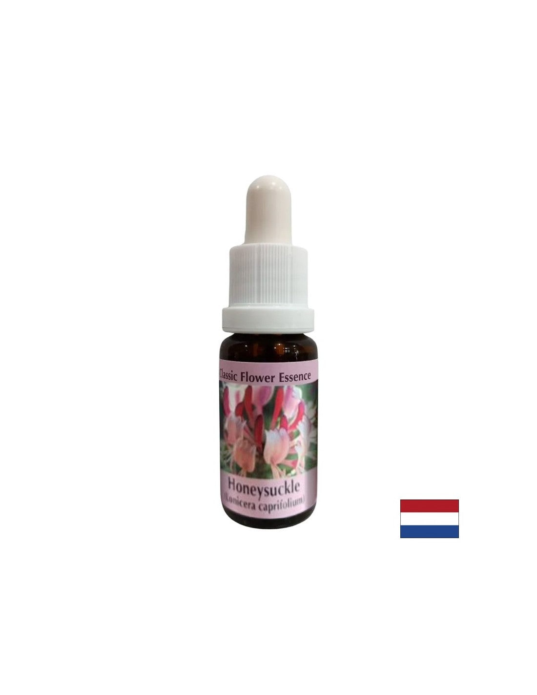Spodbuja pozitivnost - Honeysuckle Essence št. 16, pade 15 ml