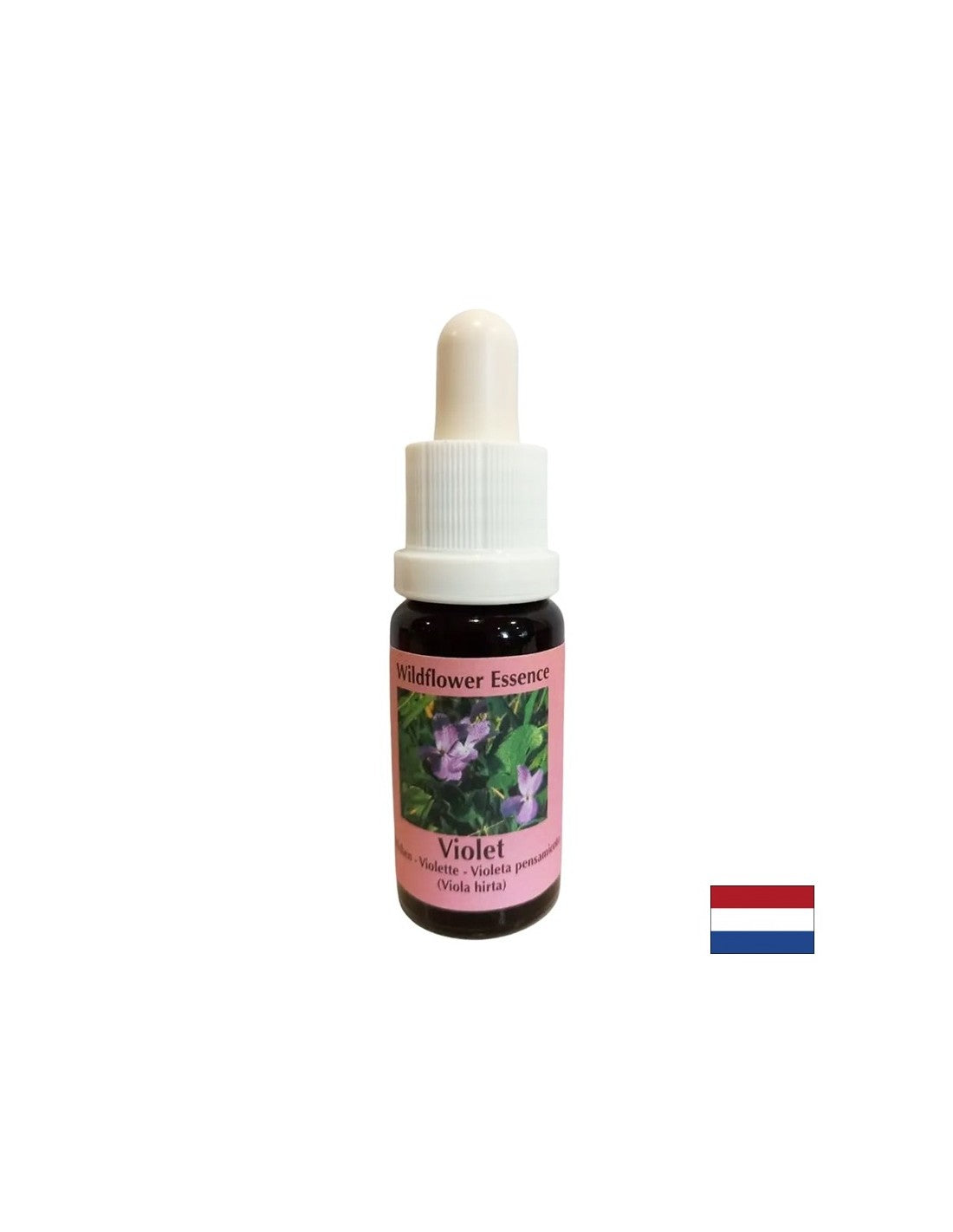 Premaga nelagodje zaradi zavrnitve in osamljenosti - Essence Fiber Violet št. 18, spusti 15 ml