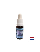Duhovna rast in intuicija - Ametist Essence št. 2, pade 15 ml