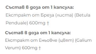 Izvleček breze + breza - 2 x 60 kapsul