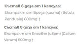 Izvleček breze + breza - 2 x 60 kapsul
