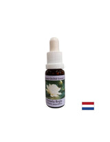 Za duhovno zavedanje - Victoria Regia Essence št. 20, 15 ml kapljic