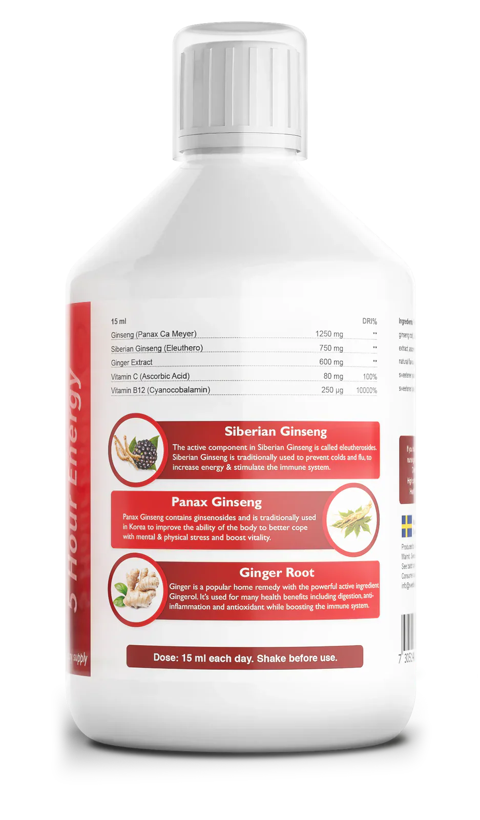 Ginseng 2000 mg - z ingverjevim ekstraktom - 500 ml