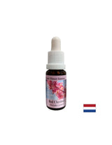 Ko skrbijo drugi - Essence Rdečega kostanja št. 25, pade 15 ml
