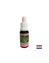 Podpira timsko delo in ustvarjalnost - Lopen Essence št. 29, pade 15 ml