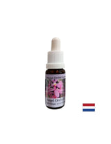 Širi zavest in izboljšuje komunikacijo - Essence angelske orhideje št. 3, pade 15 ml