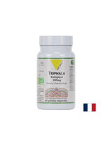 Dobra prebava in razstrupljanje - Triphala Bio, 300 mg x 60 kapsul