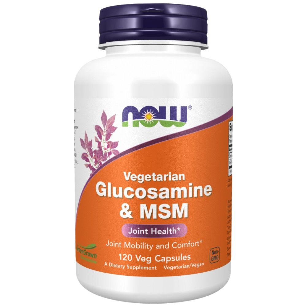 Glukozamin in MSM - 120 kapsul