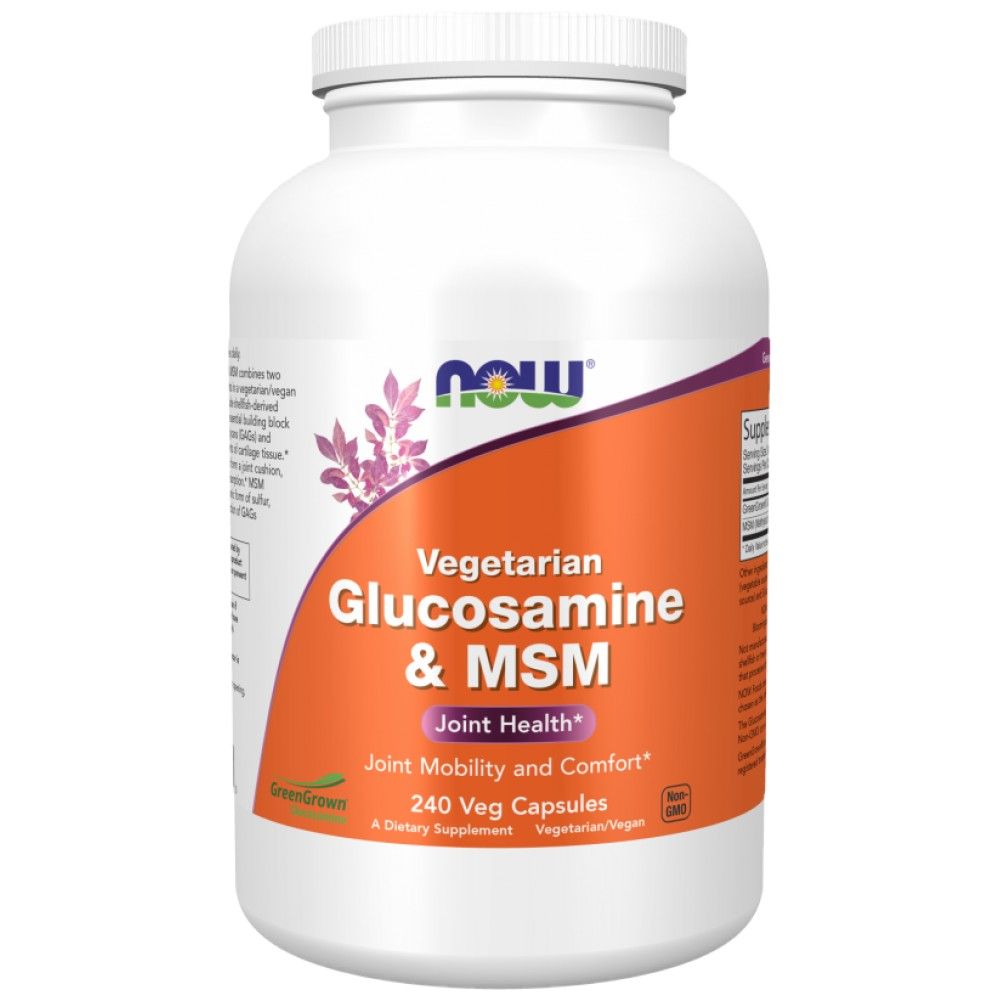 Glukozamin in MSM - 240 kapsul