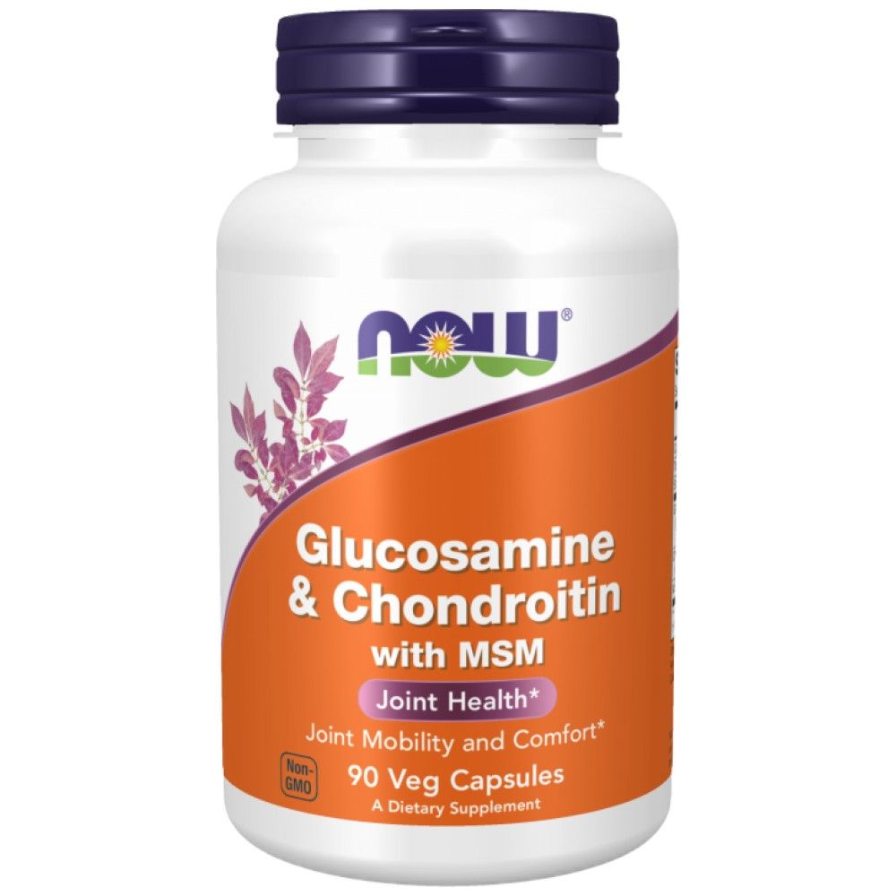Glukozamin in hondroitin + MSM - 90 kapsul