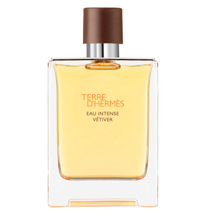 Terre D'<tc>Hermès</tc> Eau Intense Vetiver sprej 100 ml