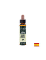 Violeta de agua (Water Violet) Elixir Floral 34 - Cvetlični eliksir vodne vijolice, 10 ml Arte<tc>san</tc>ia