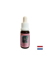 Pomaga pri odpravljanju negativnih spominov - Essence Ozko -lista vrbe št. 37, pade 15 ml