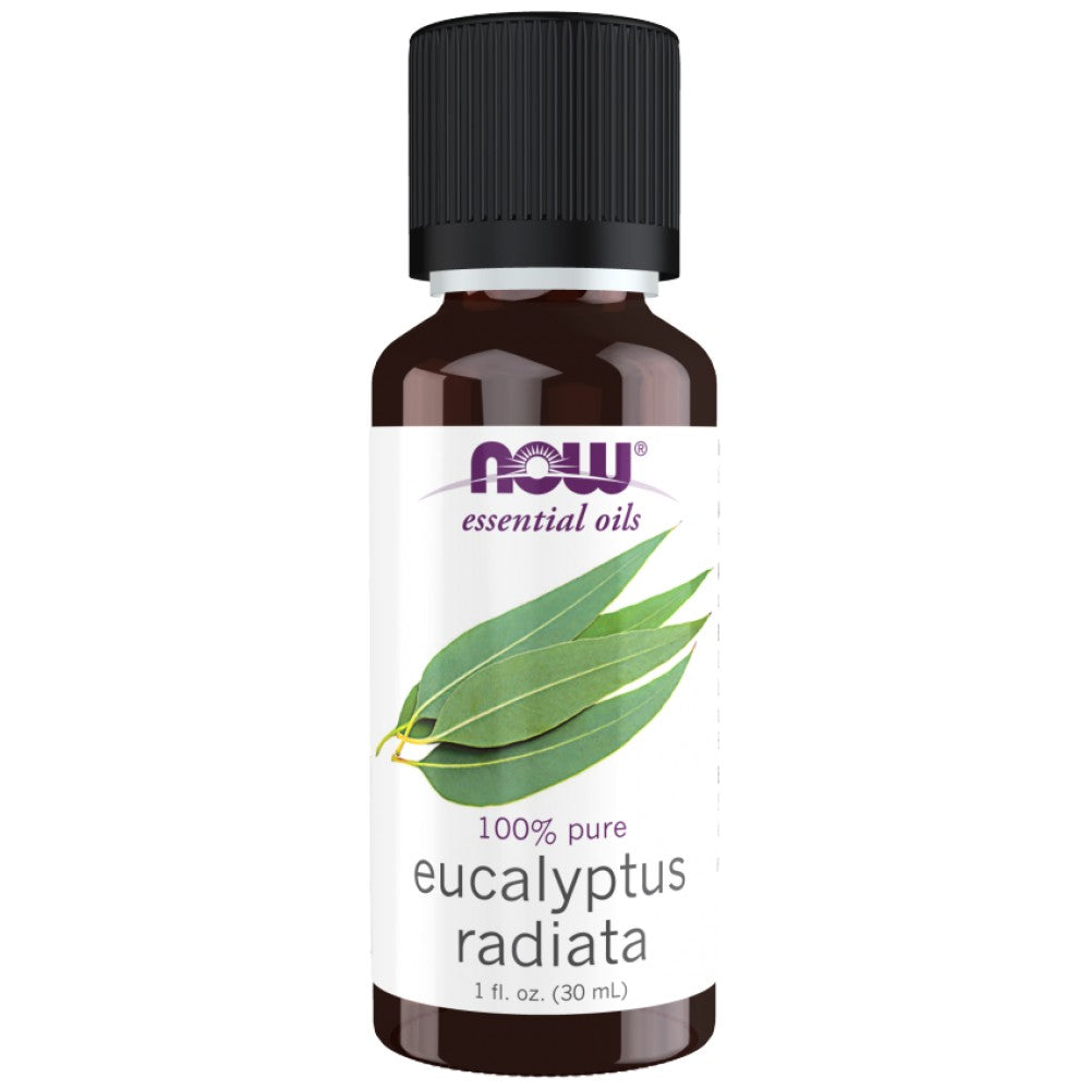 Eucalyptus radiata olje | 100% čisti evkaliptus radiata - 30 ml