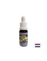 Koordinira zdravilne energije - Essence Koordiniranje orhideje št. 8, pade 15 ml