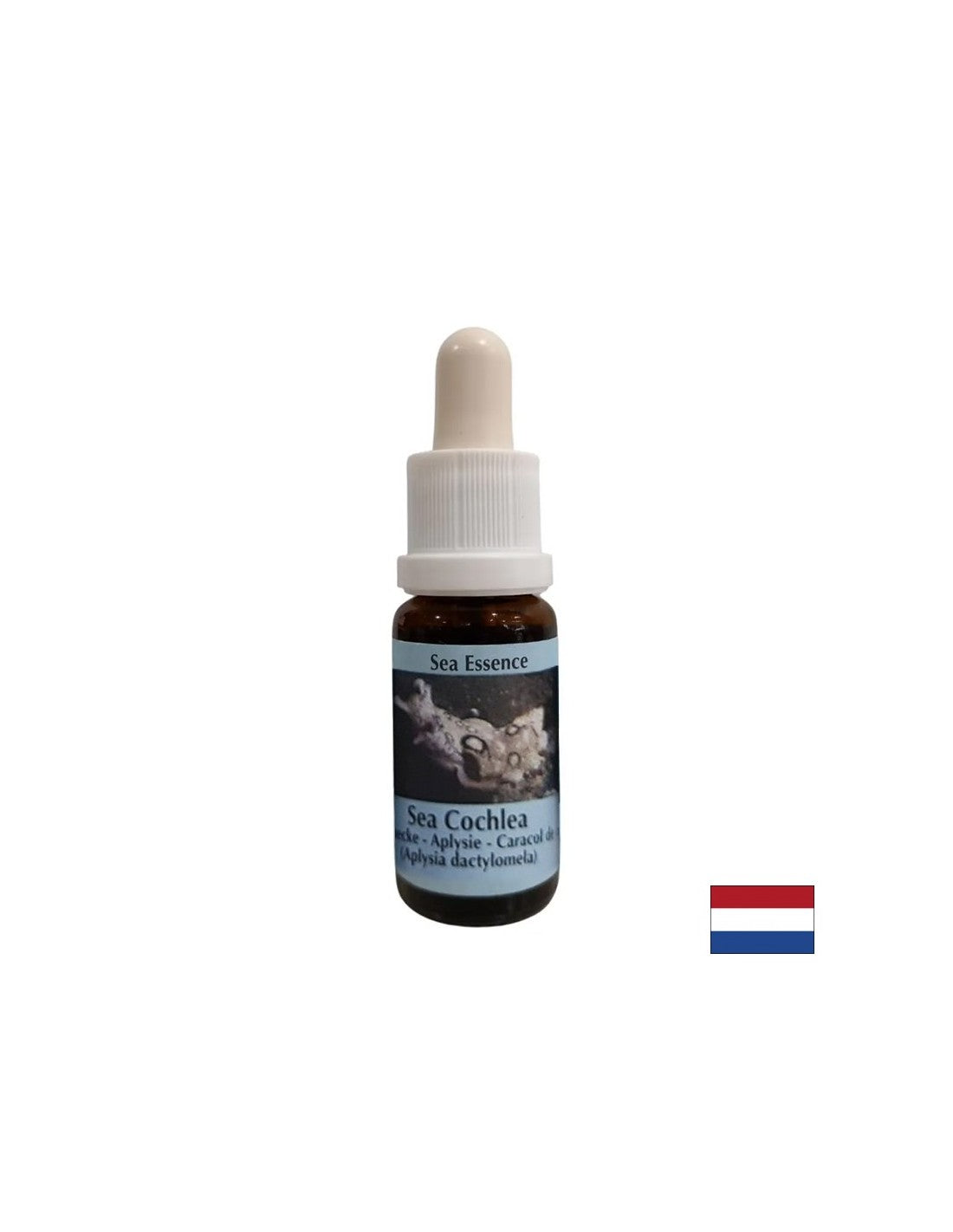 Daje notranjo moč v nestabilnih situacijah - Sea Snail Essence št. 8, pade 15 ml