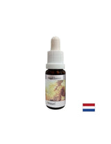 Pomaga razumeti pomen denarja - Angel Essence št. 1, pade 15 ml