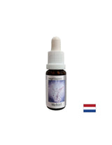 Za iskanje pravih besed - Essence Mechiel (Angel Essence št. 16), pade 15 ml