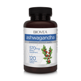Ashwagandha 572 mg / 120 zavihkov