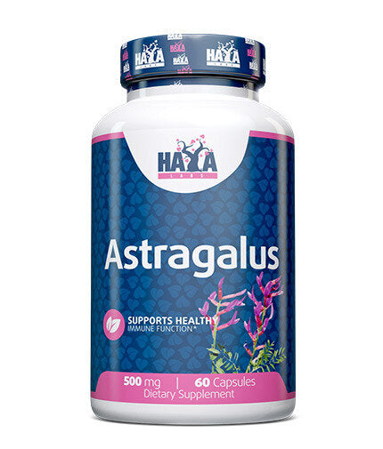 Astragalus 500mg. / 60 kape.