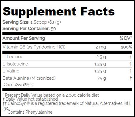 BCAA PRO 5000 / ASPARTAME BREZPLAČNO - 345 gramov