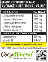BCAA X5 tekoči strel - 100 ml