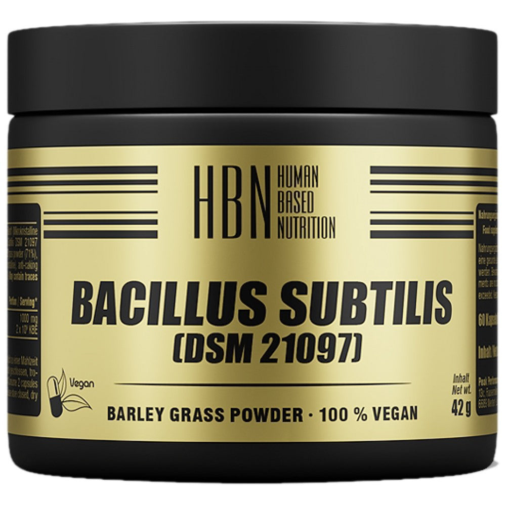 Bacillus subtilis 60 kapetov