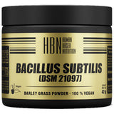Bacillus subtilis 60 kapetov