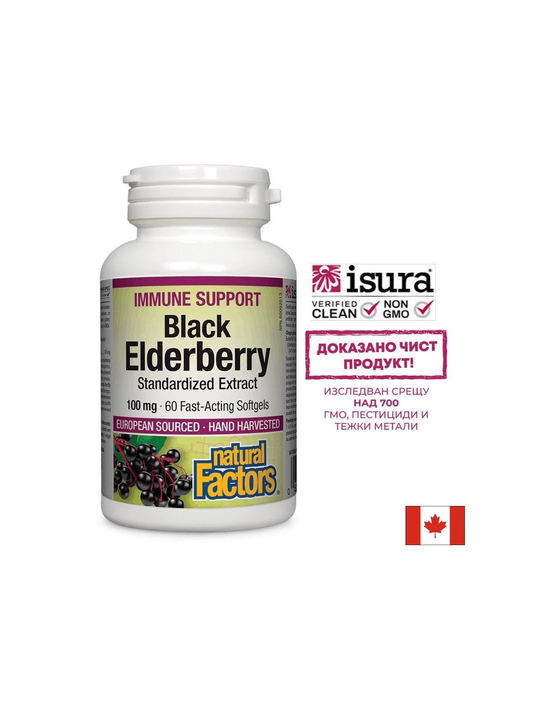 Black Elderberry Standard Extract 100 mg - 60 gel kapsul