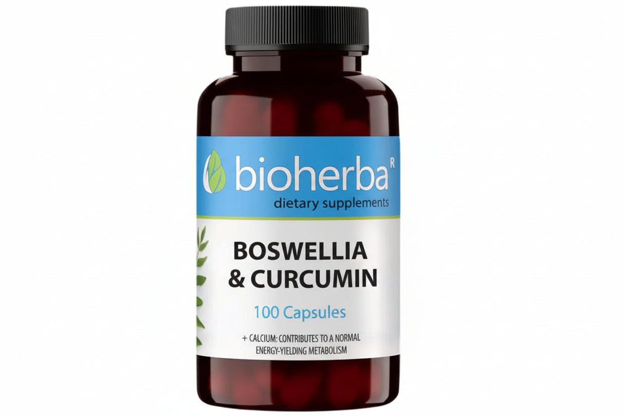 Boswellia in kurkumin - 60 kapsul