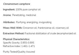 Kamforsko olje | 100% čista Cinnamomum Camphora - 30 ml