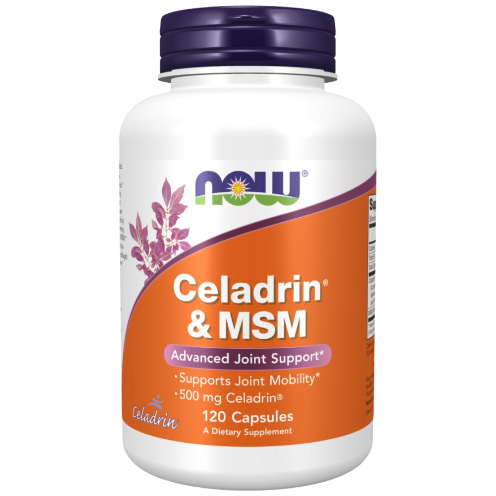 Celadrin in MSM 500 mg - 120 kapsul