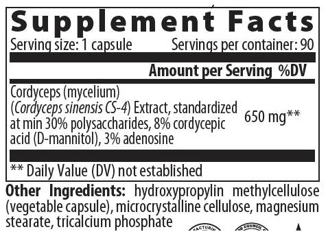 Cordyceps 650 mg - 60 kapsul