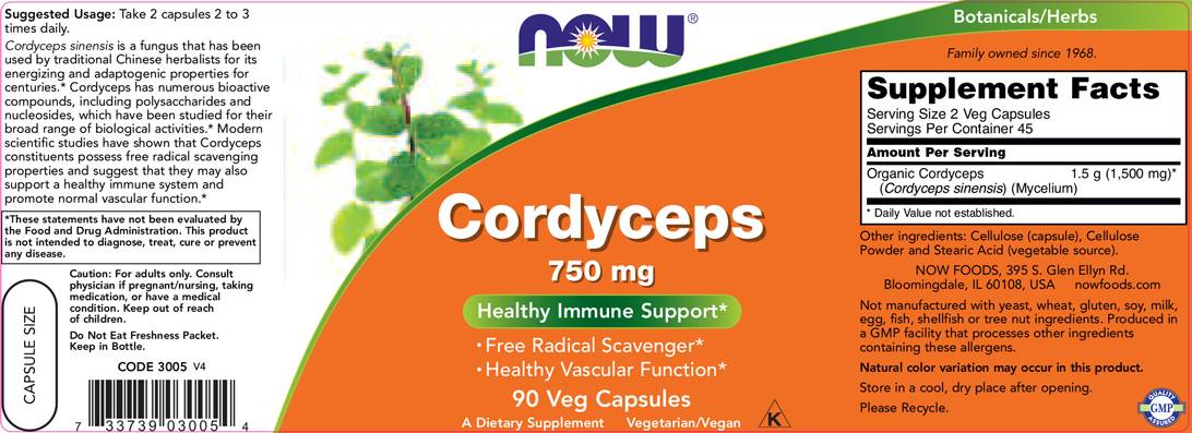 Cordyceps 750 mg - 90 kapsul