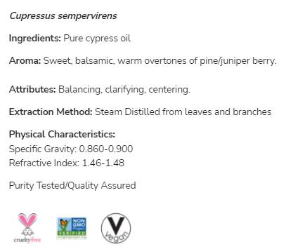Cipress olje | 100% čisti cupressus Sempervirens - 30 ml