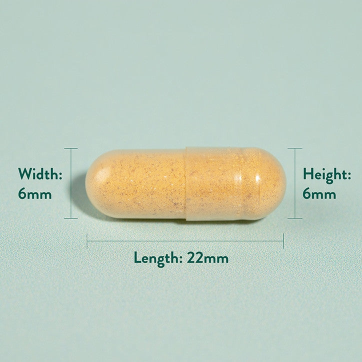Kurkuma 500mg 240 Capsules Holland & Barrett