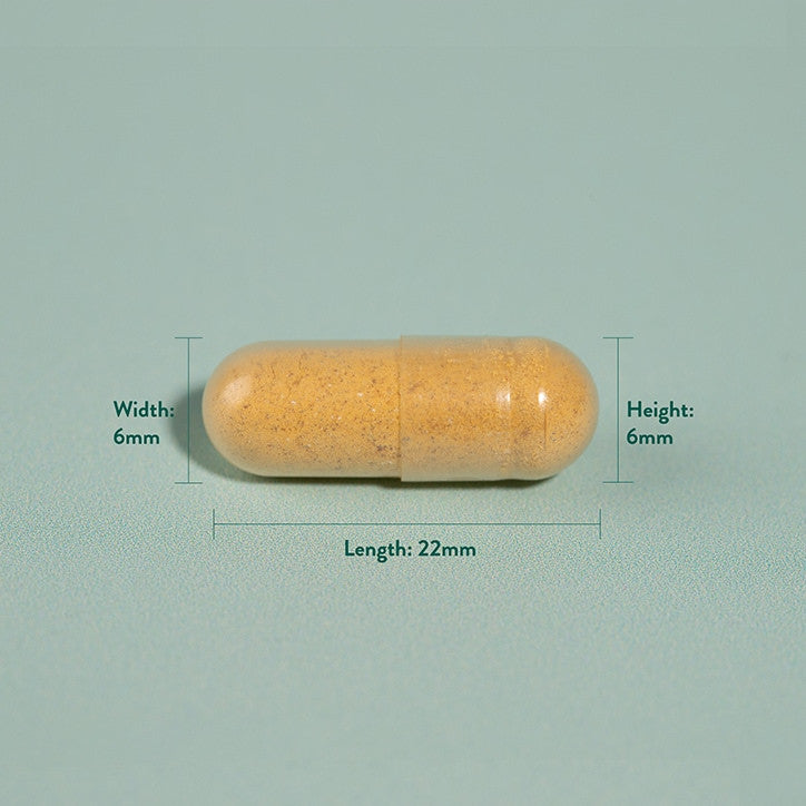 Kurkuma 500mg 90 kapsule Holland & Barrett