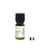 Eterično olje Geranium, Bio, 5 ml
