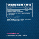 Echinacea 250mg. / 60 kape.