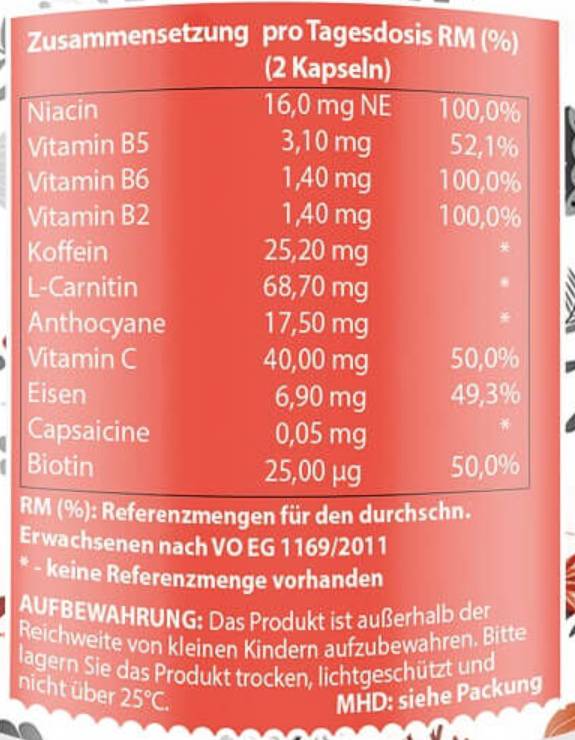 Energy Booster | z vitamini in kofeinom - 60 kapsul