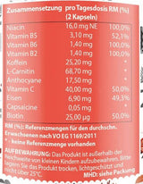 Energy Booster | z vitamini in kofeinom - 60 kapsul